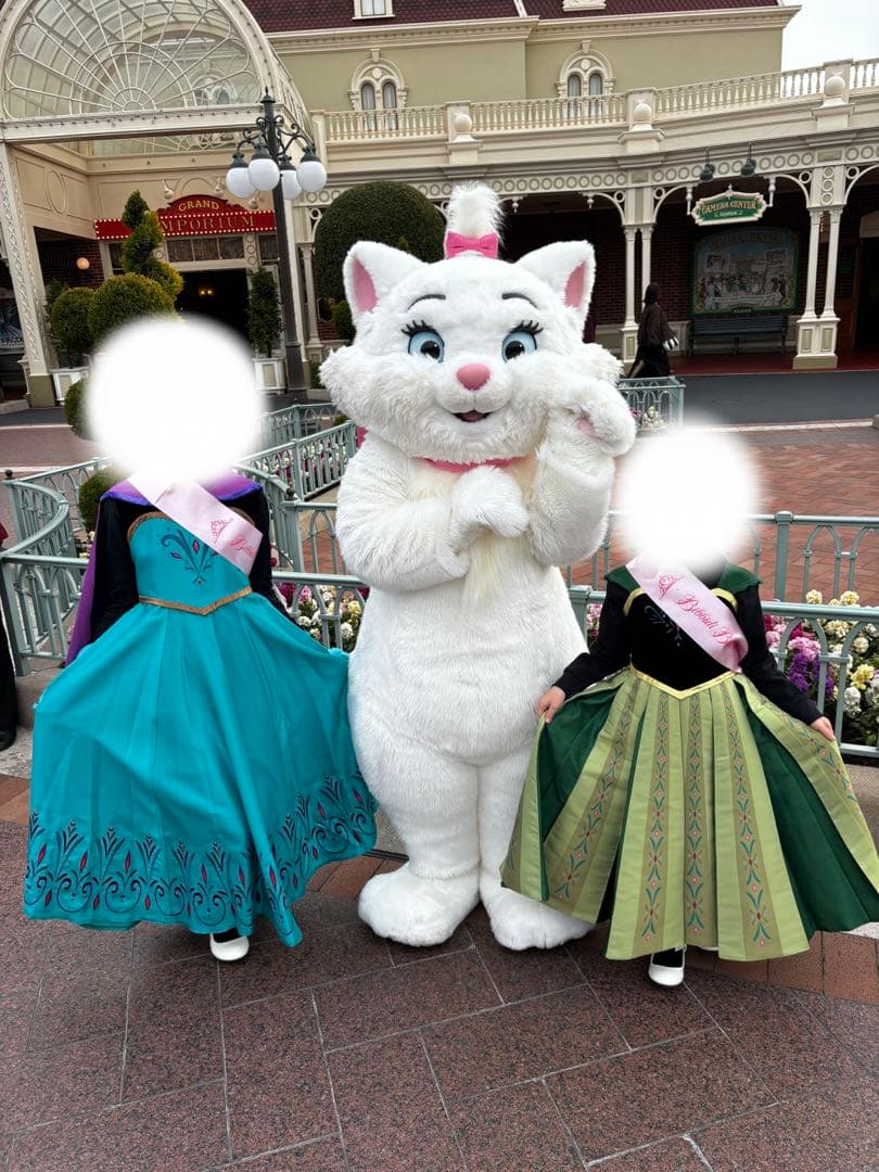 ビビディバビディブティック　アナ雪　プレミアム　アナ　Dハロ ハロウィン　仮装