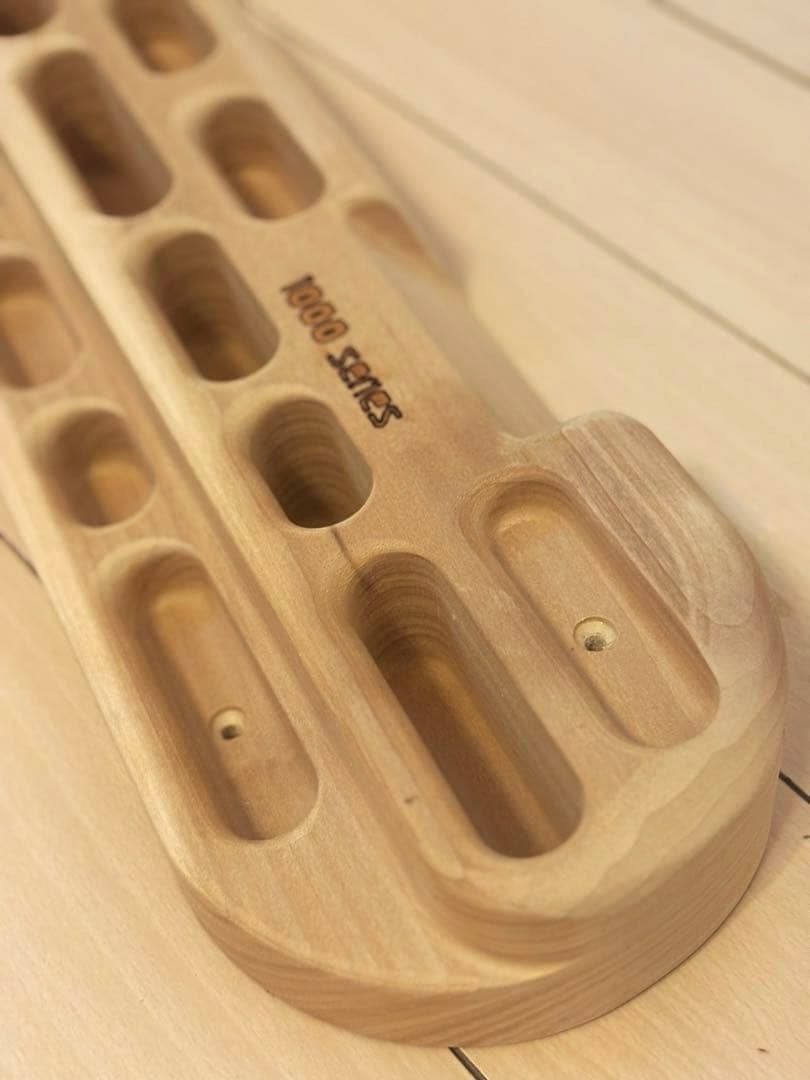 Beastmaker 1000 Series ビーストメーカー クライミング