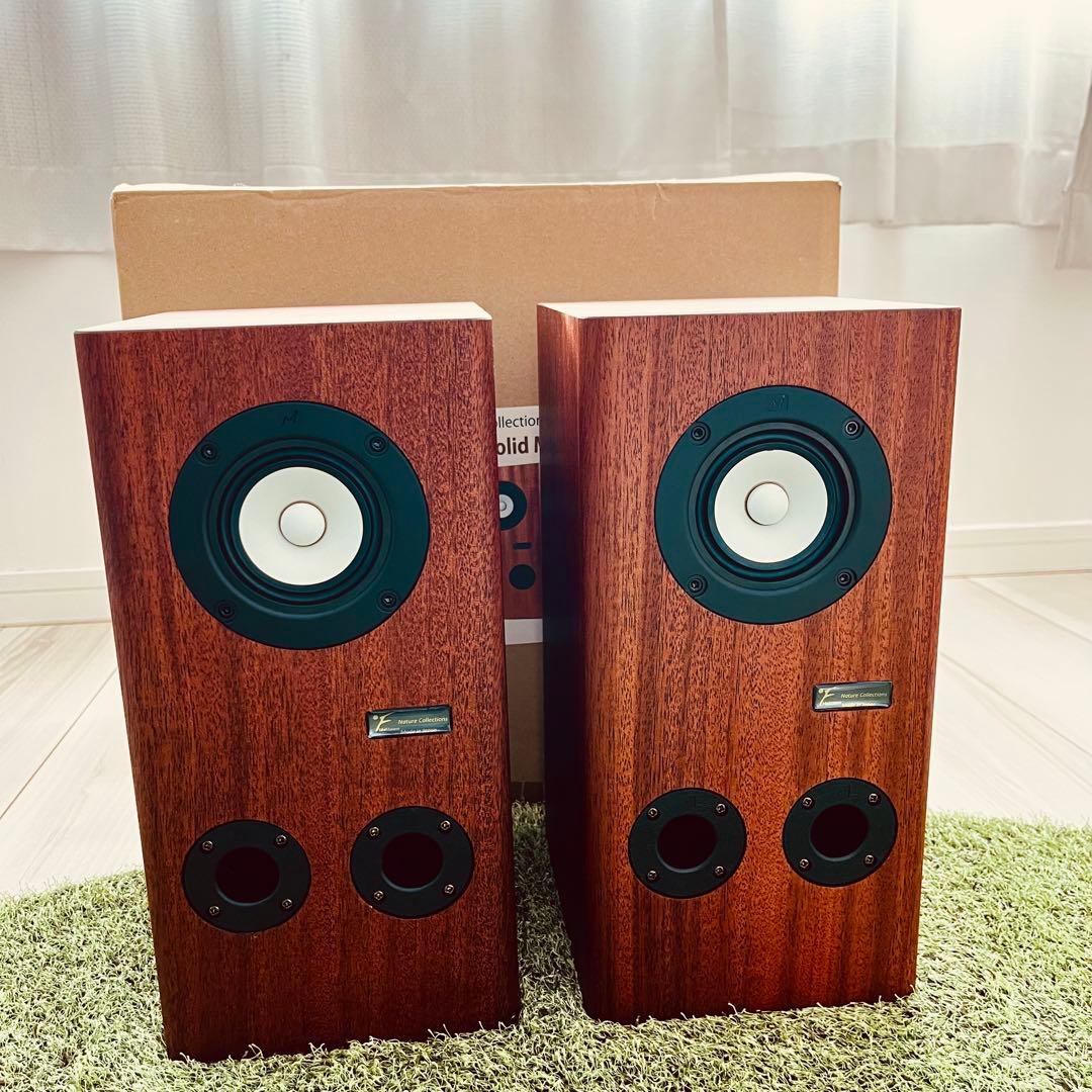 NC5H MAOP Solid Mahogany(限定生産品) レア!