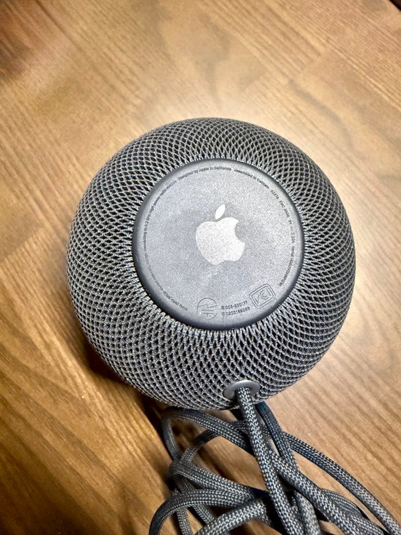 Apple Pod Mini スペースグレイ