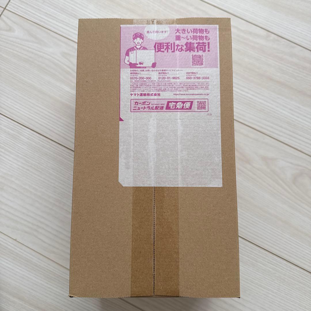 トウホクのピカチュウ スペシャルBOX 新品未開封 ポケモンセンター発送