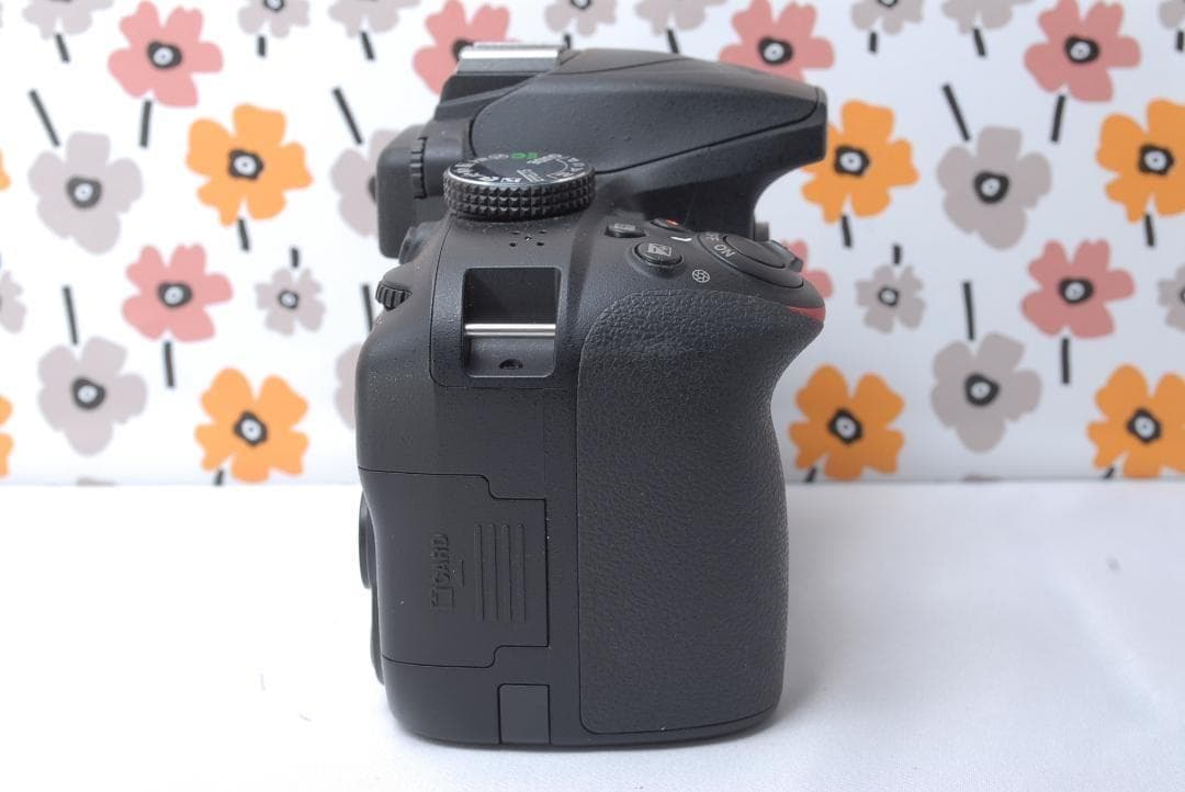 ❤Nikon D3400❤撮影ガイド本付き❤Bluetoothでシェア！❤美品❤