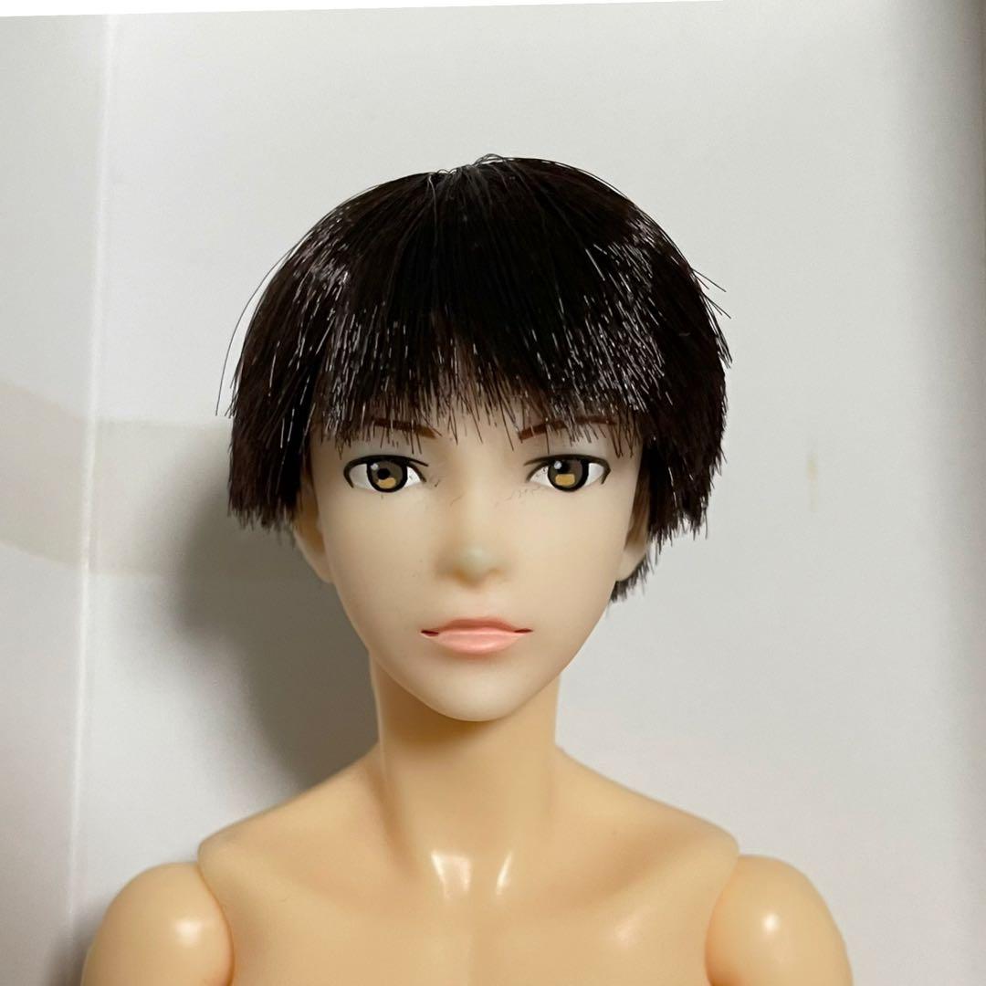 六分の一男子図鑑 エイト BASIC ペットワークス