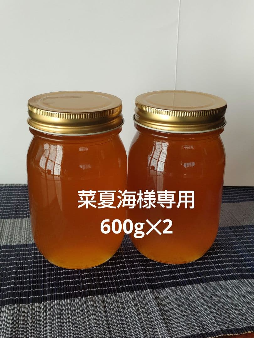 日本ミツバチ濃厚蜂蜜（秋蜜、600g✕3）