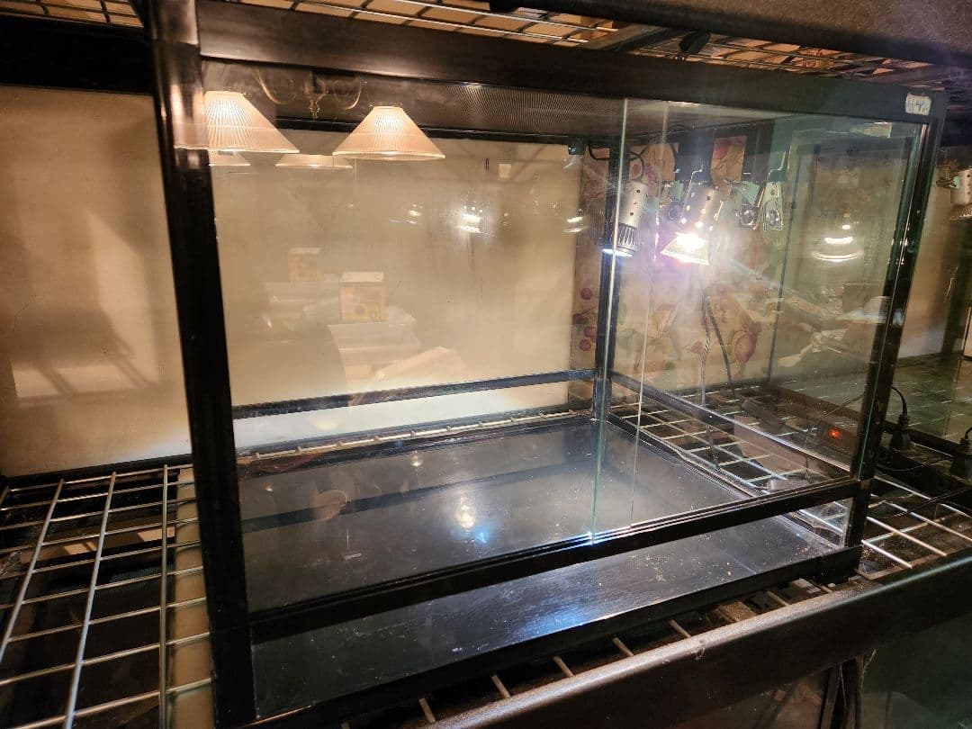 パンテオンブラック6045 マイクロサン53w マイクロuvbLED全て中古1台