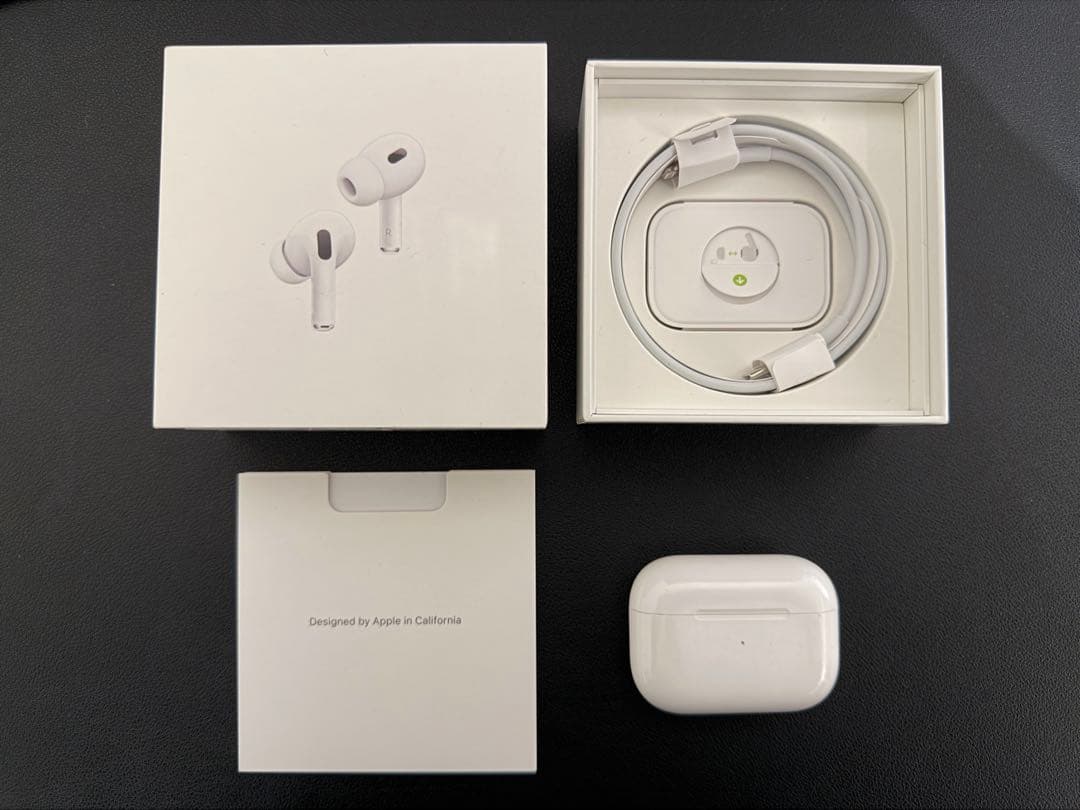 Apple AirPods Pro2【堀農園】