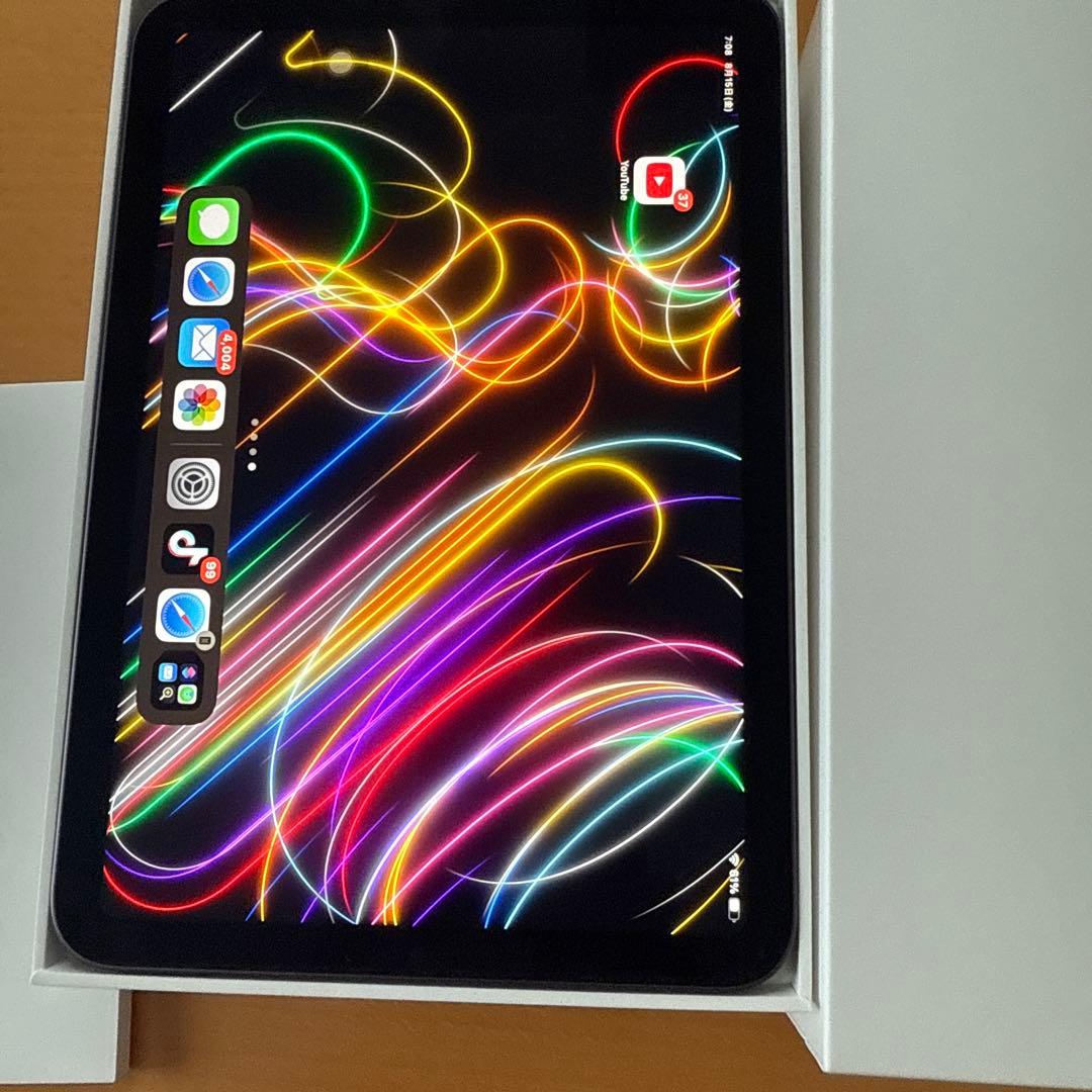 Apple iPad mini スペースグレー 本体64GB