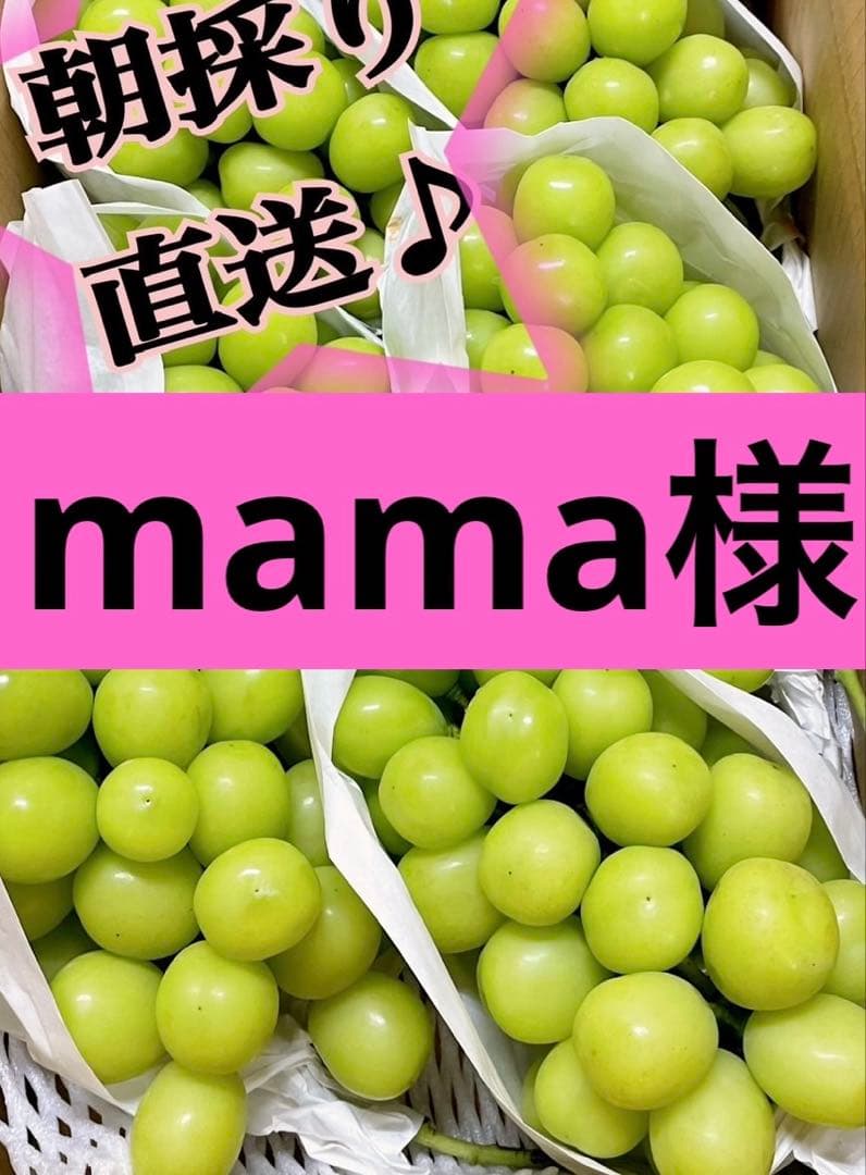 mama ご家庭用シャインマスカット4キロ✖️2箱