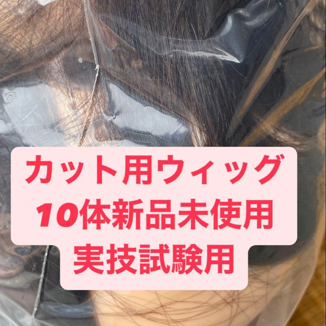 美容師実技試験用ウィッグカット10体新品未使用オカセン23-10-20