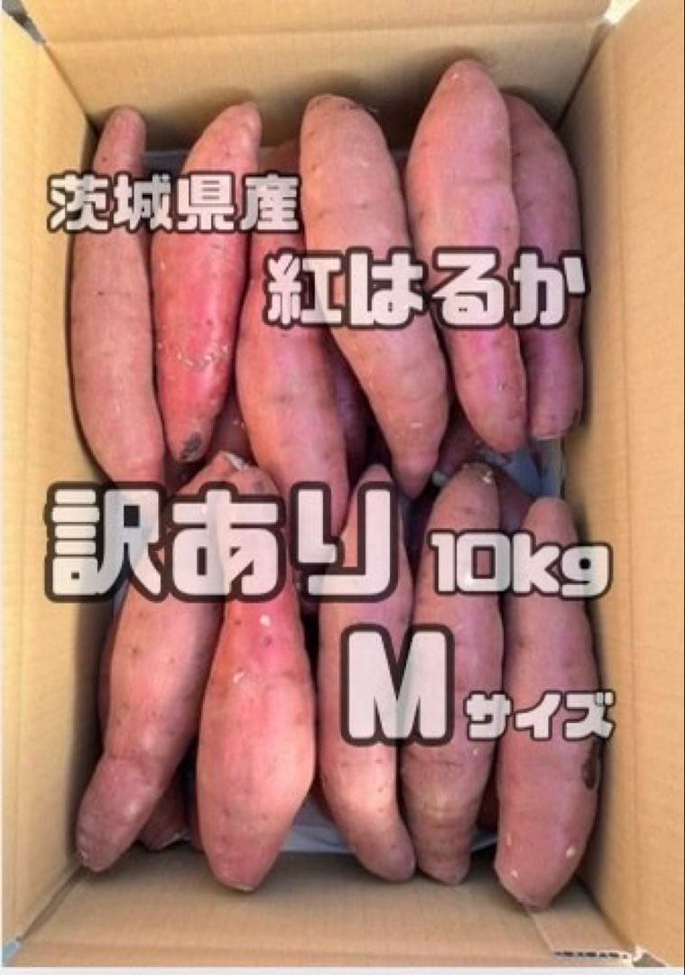 整理さつまいも　紅はるか　訳あり　Mサイズ　20kg
