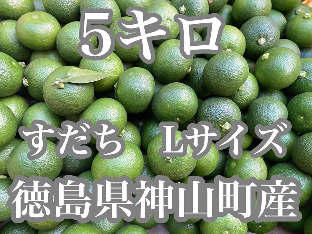 徳島県神山町産　《冷蔵貯蔵すだち》 綺麗なLサイズ　5キロ　　①