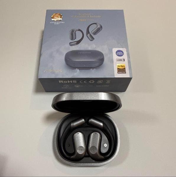 Zenchord 1 AI Recorder & Earbuds　動作確認のみ