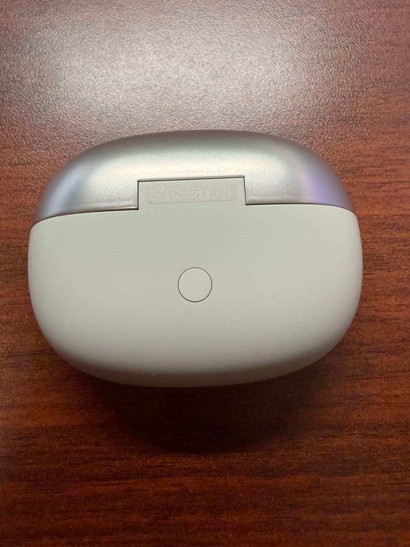 Shokz (ショックス) OpenDots ONE グレー