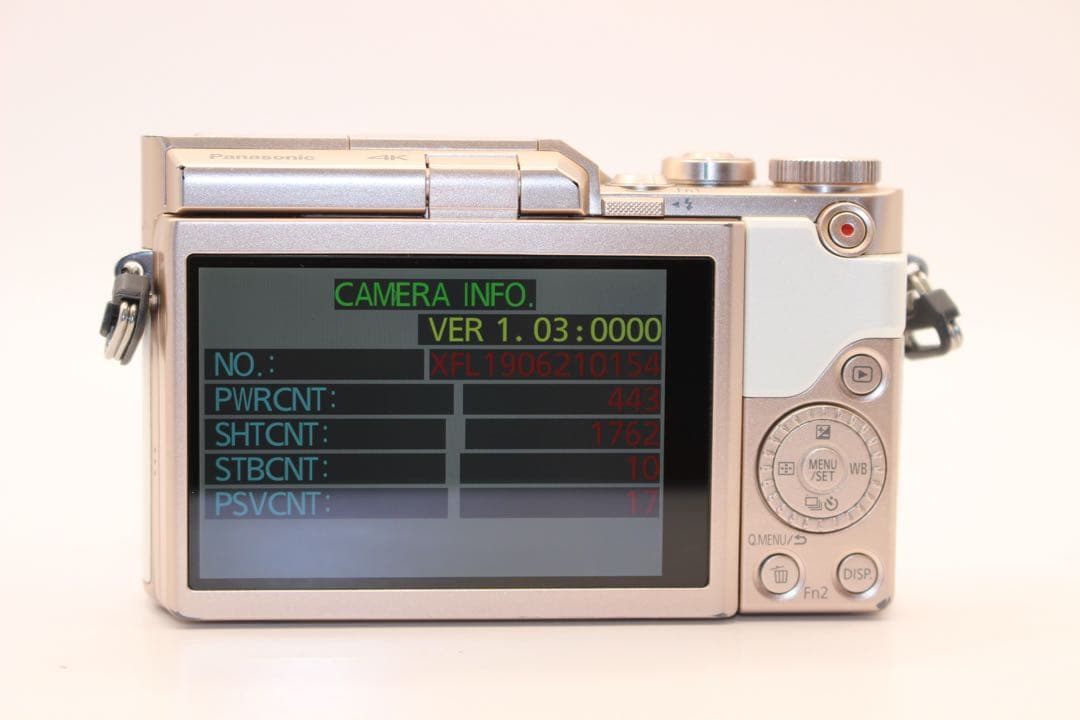 ★ショット数1762回★ LUMIX DC-GF10 望遠レンズセット　中望遠