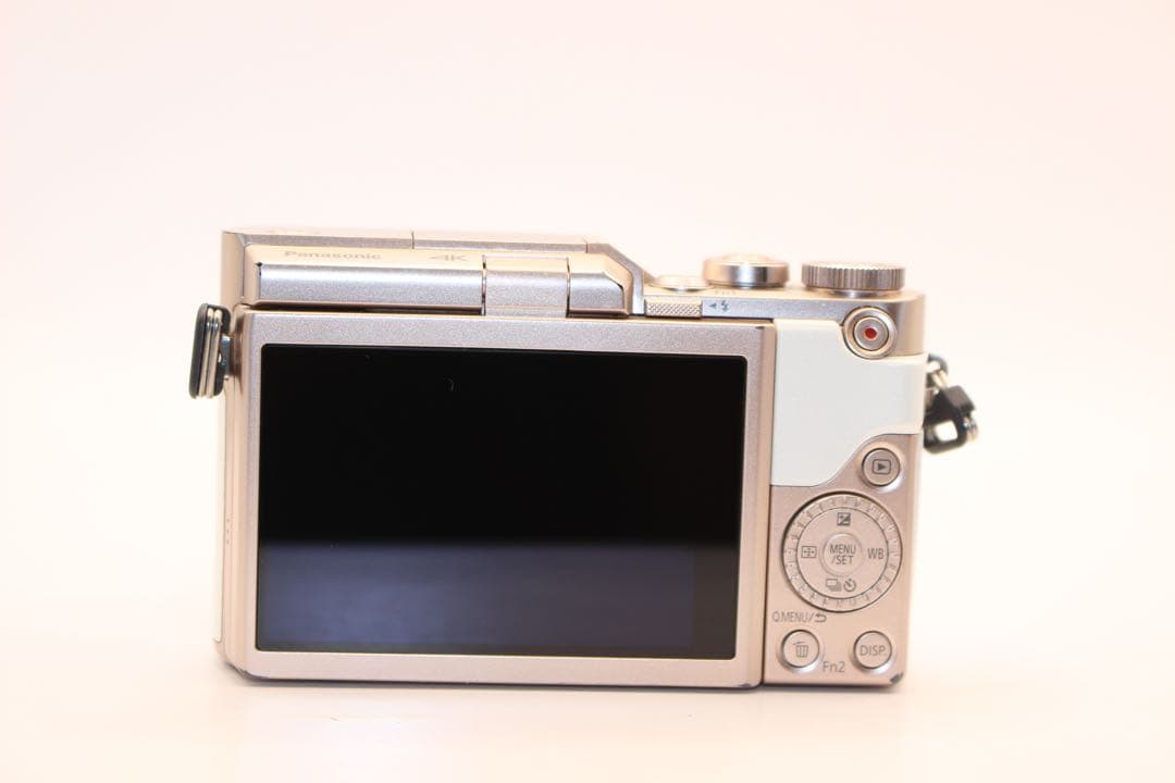 ★ショット数1762回★ LUMIX DC-GF10 望遠レンズセット　中望遠