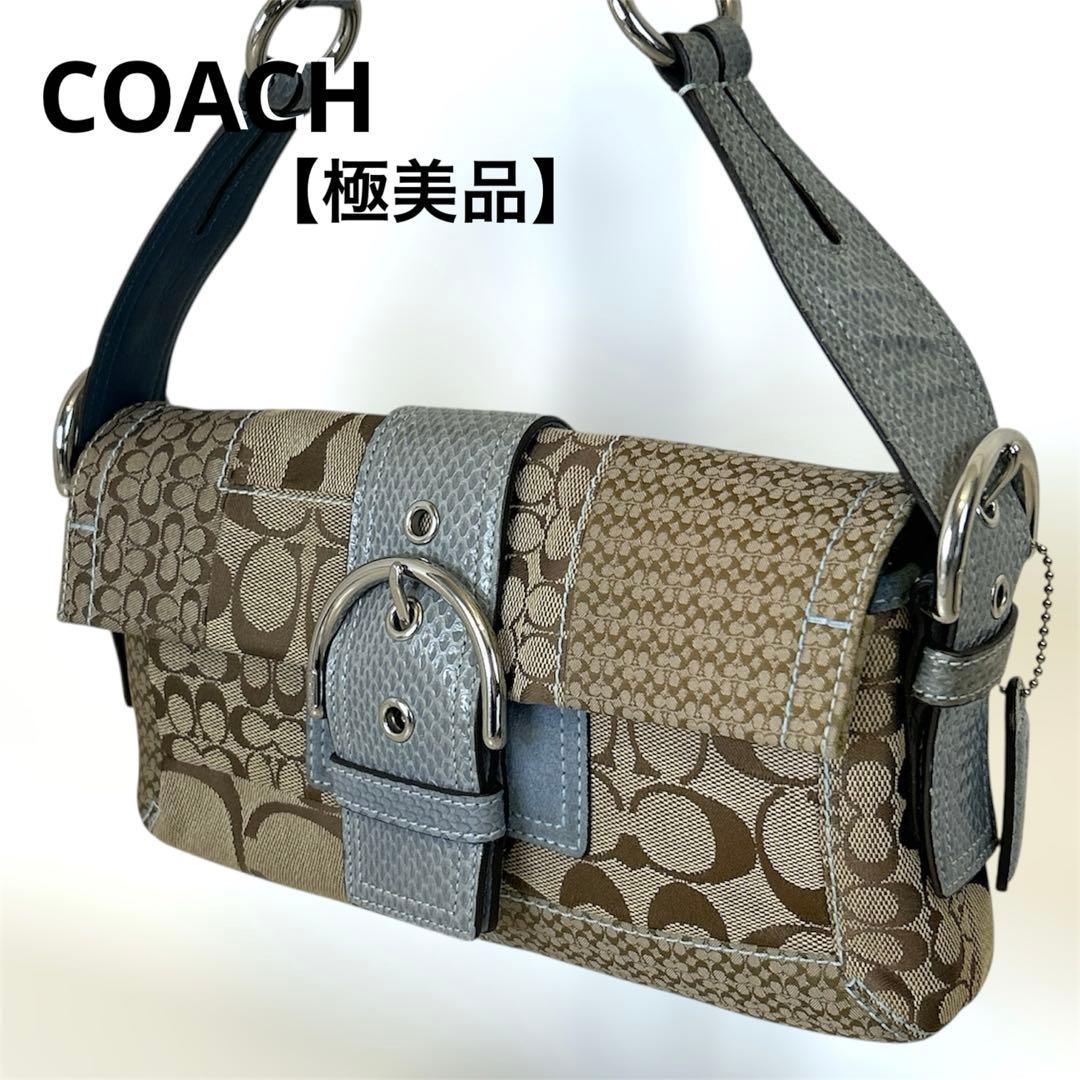 バッグ COACH Soho Patchwork Python Shoulder Bag