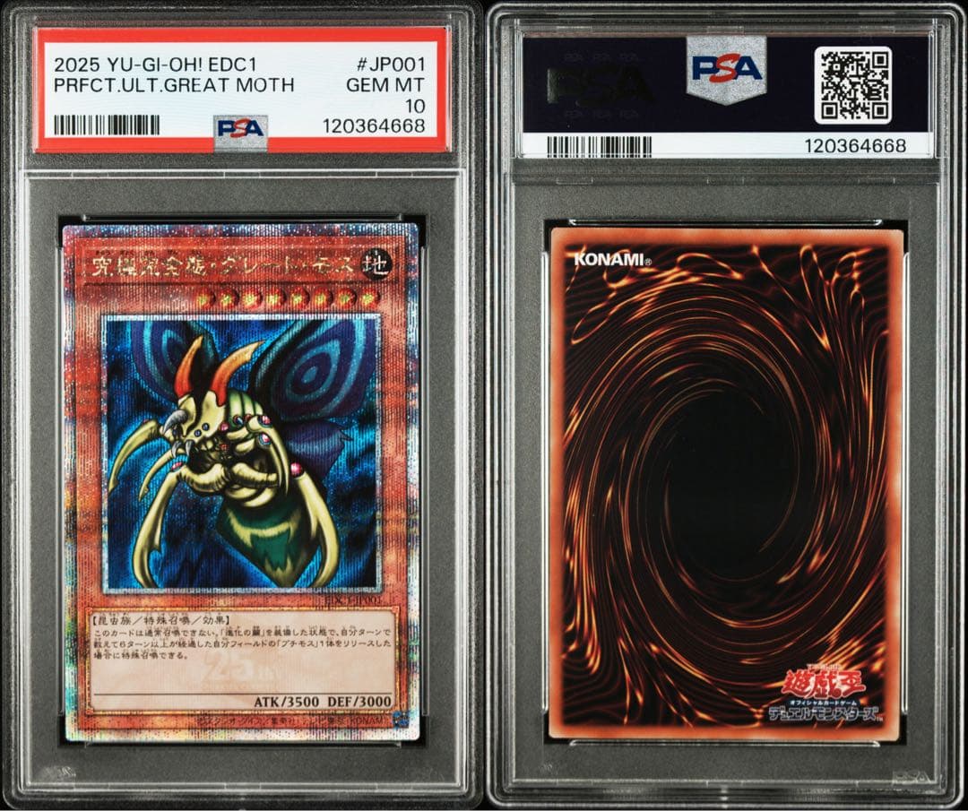 【2連番PSA10】究極完全態 グレートモス ホーリーナイトドラゴン 2枚セット