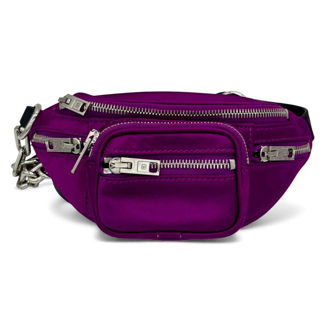 【美品✨】アレキサンダーワン ボディバック アッティカ ミニファニーパック