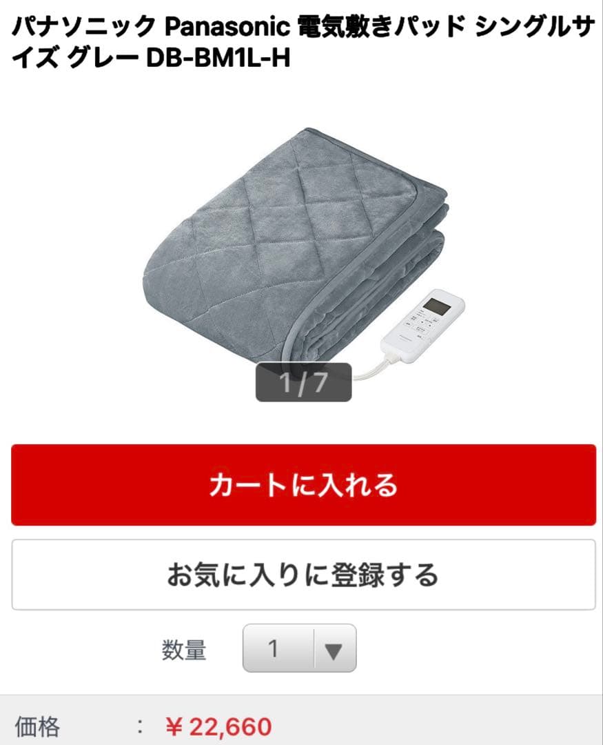 Panasonic パナソニック　電気敷きパッド　DB-BM1L 2023年製