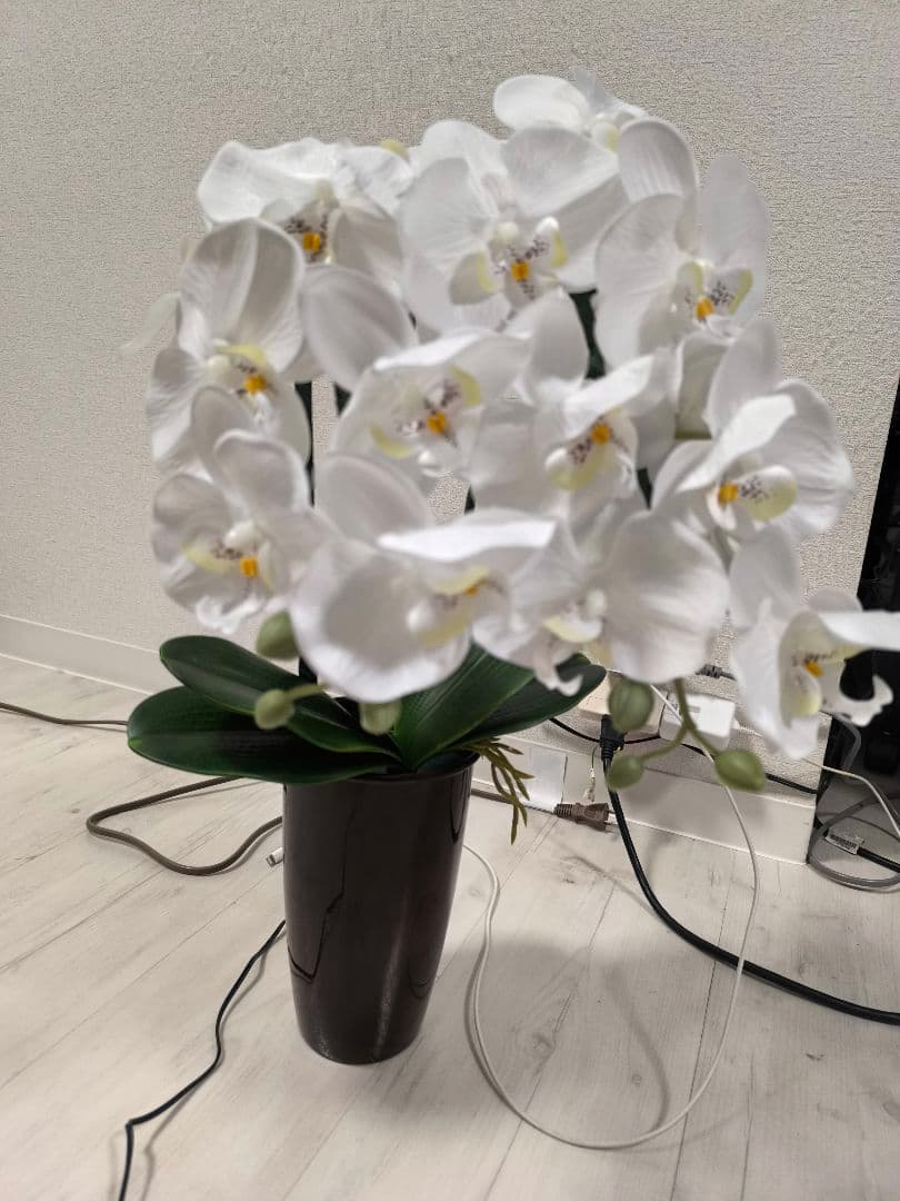 ルミナス灯胡蝶蘭　２個セット　お盆提灯祭壇