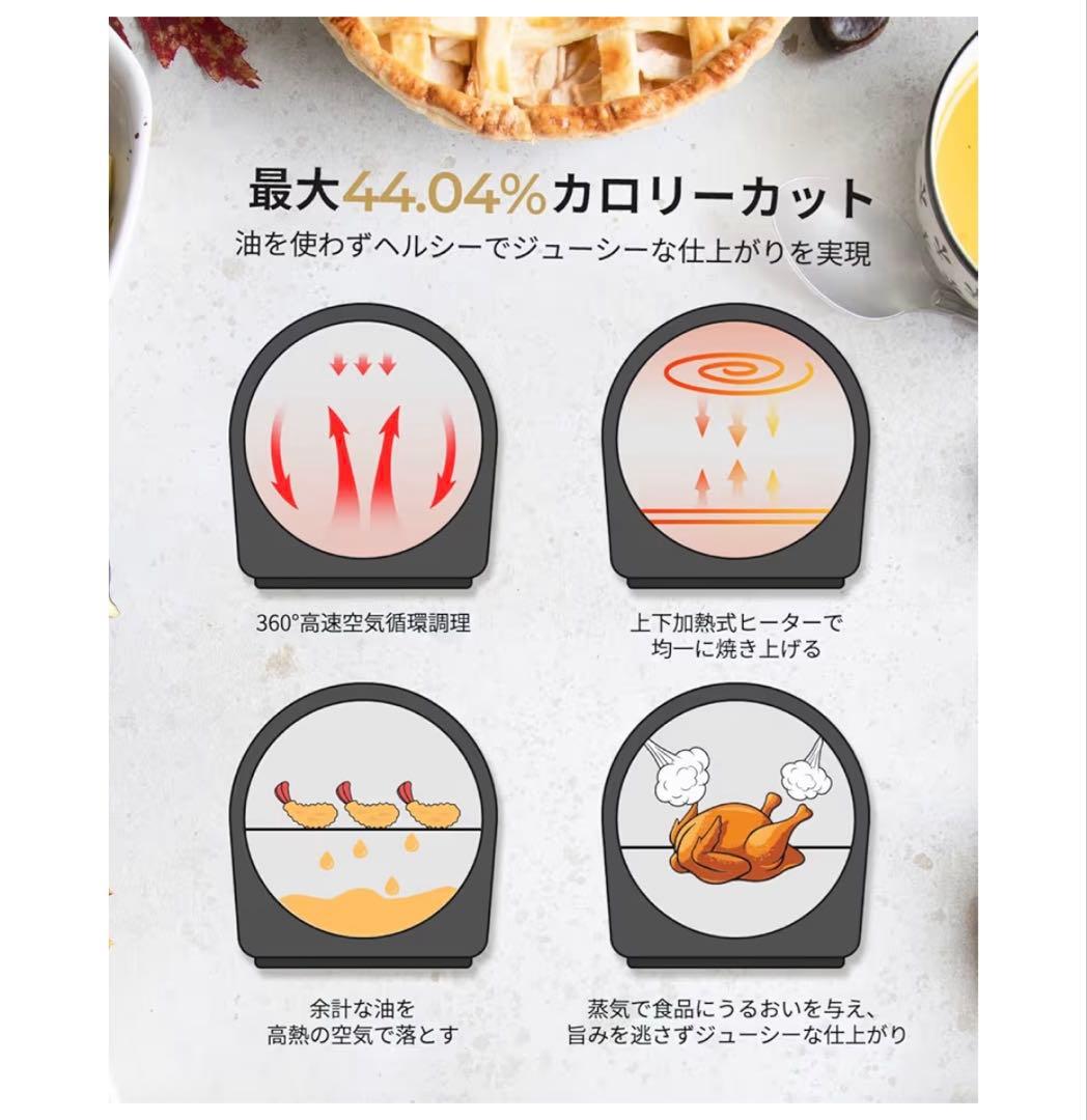 エピロスノンフライヤー ブラック