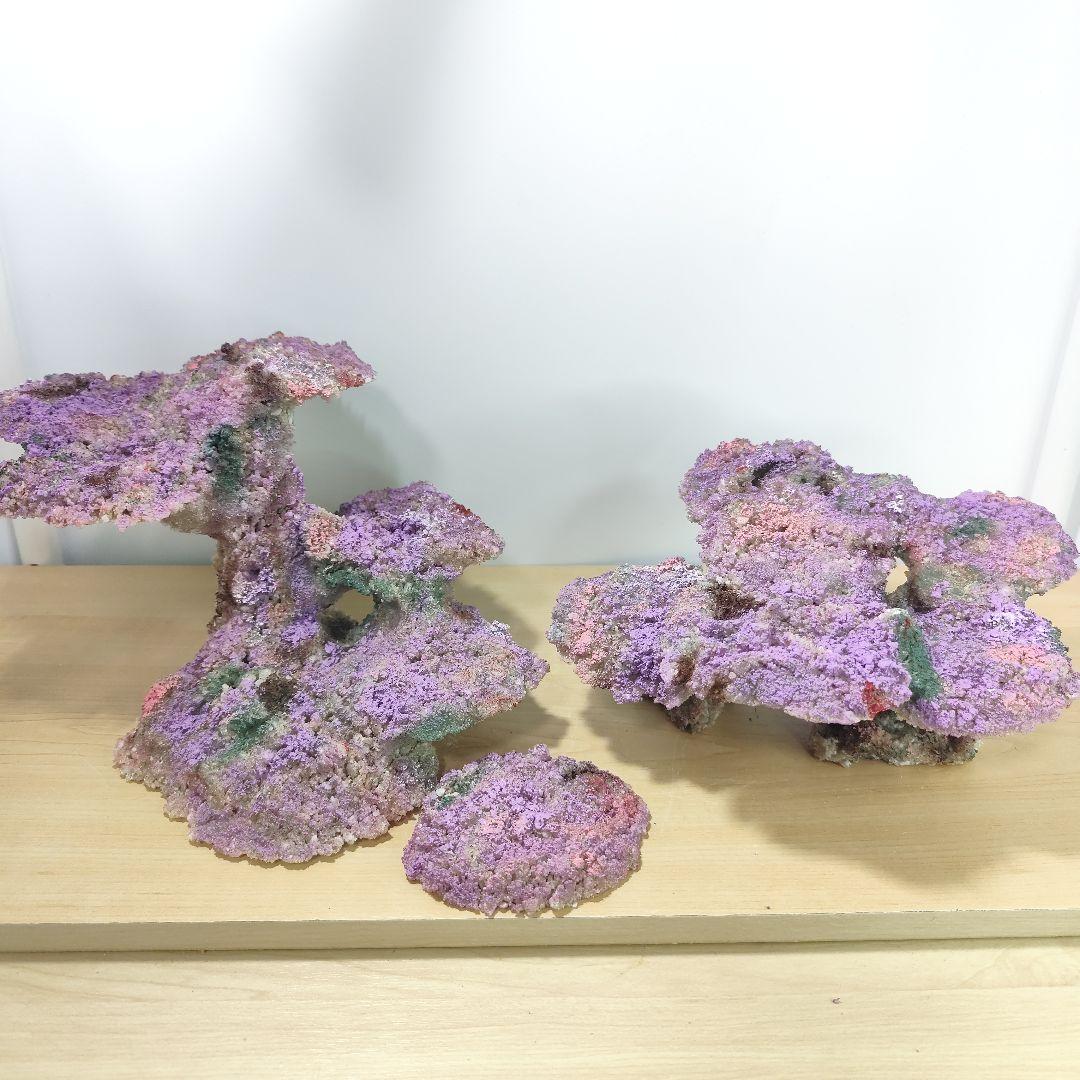 新品アク抜き不要 分離型人工ライブロック 60cm海水水槽用 レプリカ 多孔質5