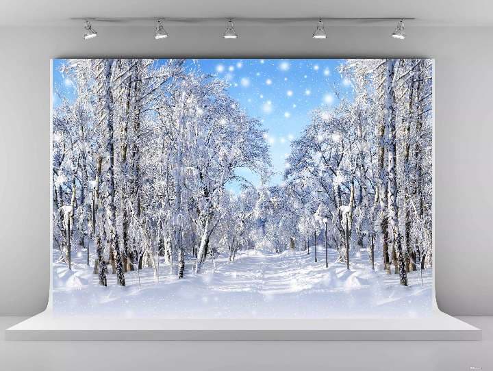 クリスマス用・撮影背景布(300cm×300cm)