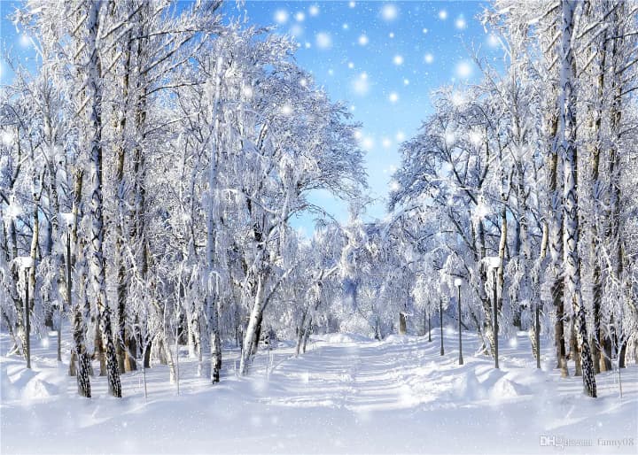 クリスマス用・撮影背景布(300cm×300cm)