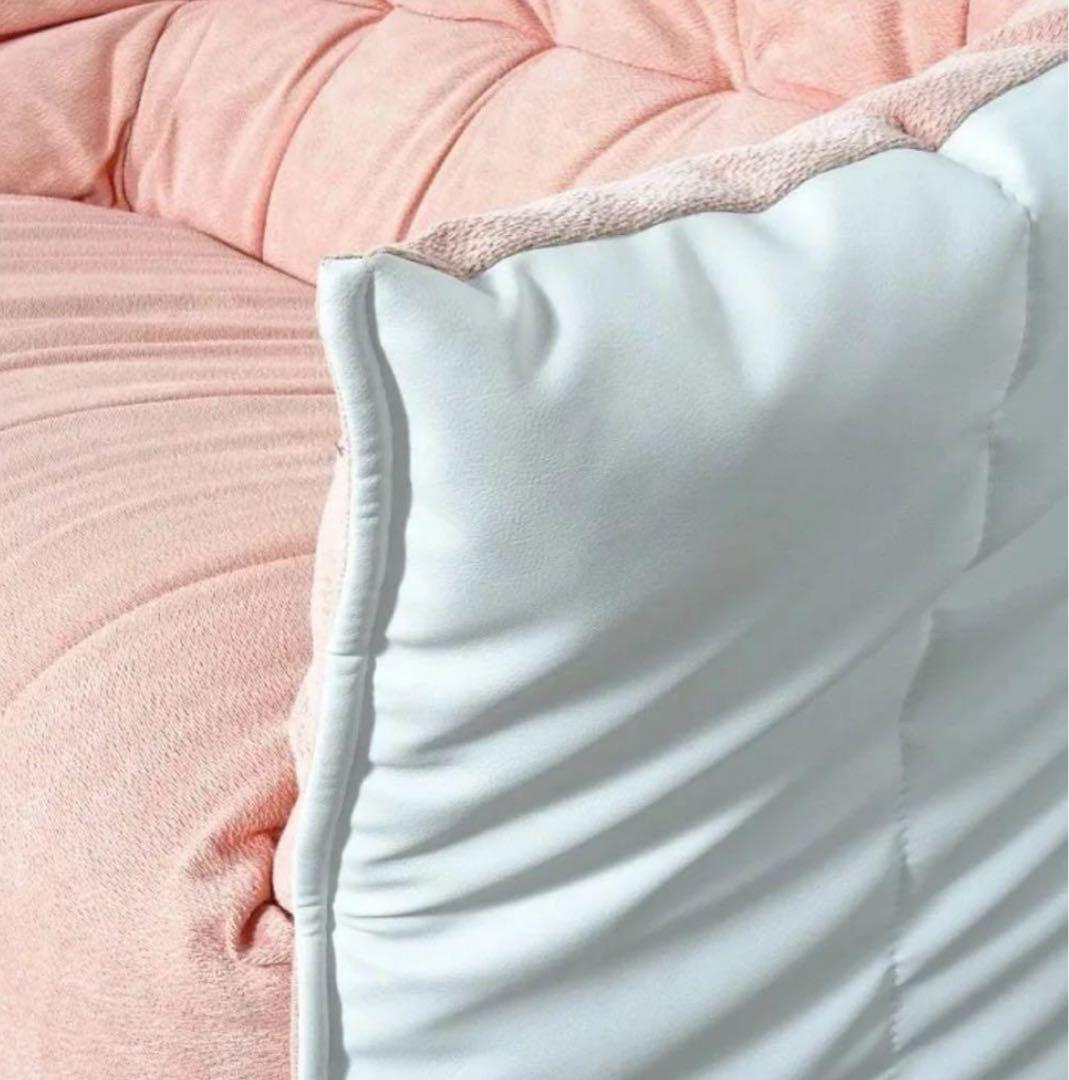 【最終値下げ！】Ligne Roset (リーンロゼ) ブリガンタン　2人掛け