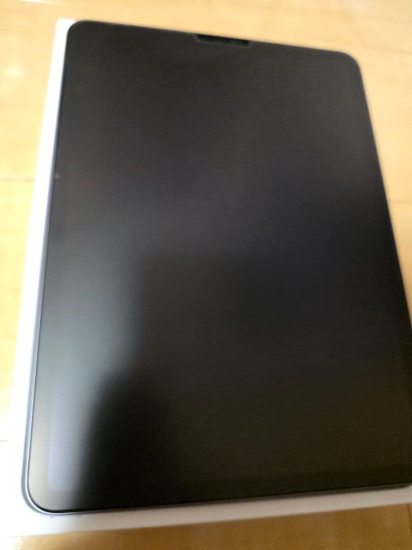 Apple iPad Pro 第2世代 11インチ スペースグレイ 256GB