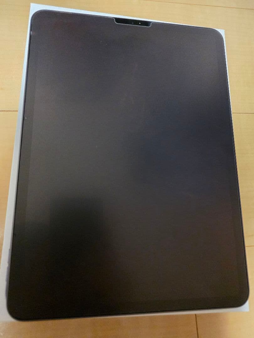 Apple iPad Pro 第2世代 11インチ スペースグレイ 256GB