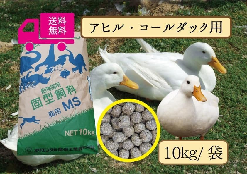 アヒル·コールダック用飼料10kg オリエンタル酵母工業ms