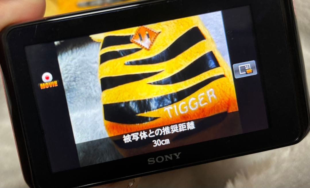 SONY Cyber-shot wx30 動作確認済み