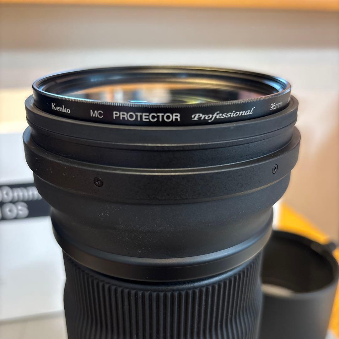 レンズ(ズーム) sigma150-600f5-6.3DG DN OS SportsE-mount