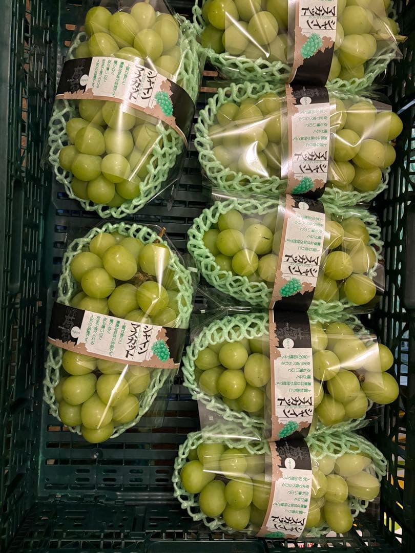 山梨県産　超特大　シャインマスカット　7房セット