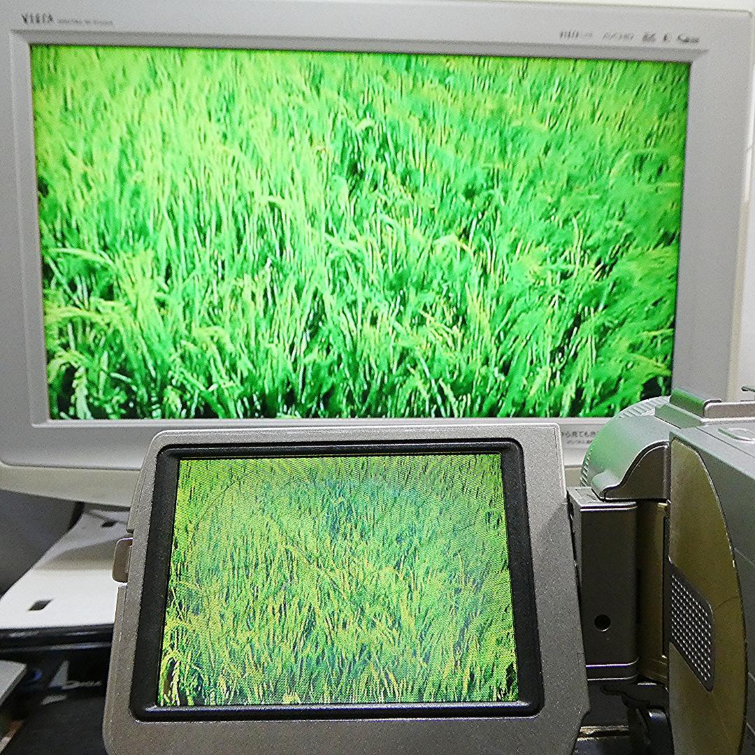 動作品ソニー DCR-TRV20 MiniDVビデオカメラ　DVDダビングに最適