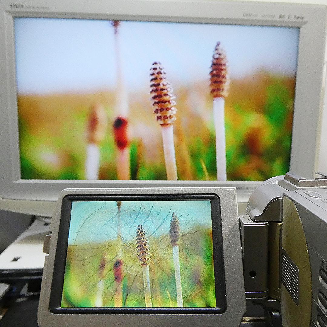 動作品ソニー DCR-TRV20 MiniDVビデオカメラ　DVDダビングに最適