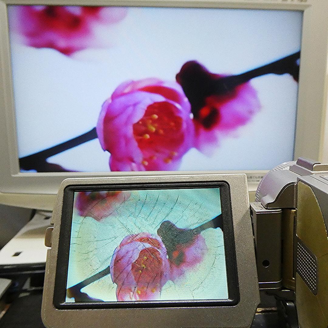 動作品ソニー DCR-TRV20 MiniDVビデオカメラ　DVDダビングに最適