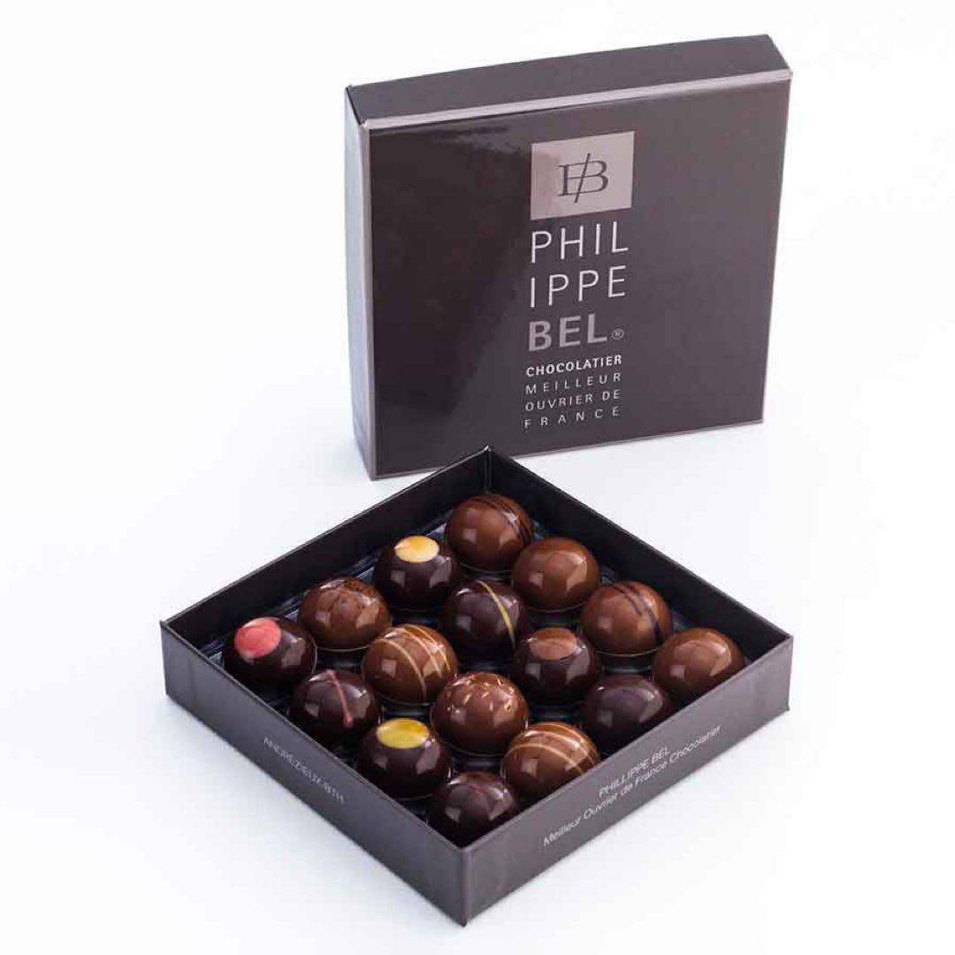 PHILIPPE BEL フィリップベル　ボワットブール　16p 170g