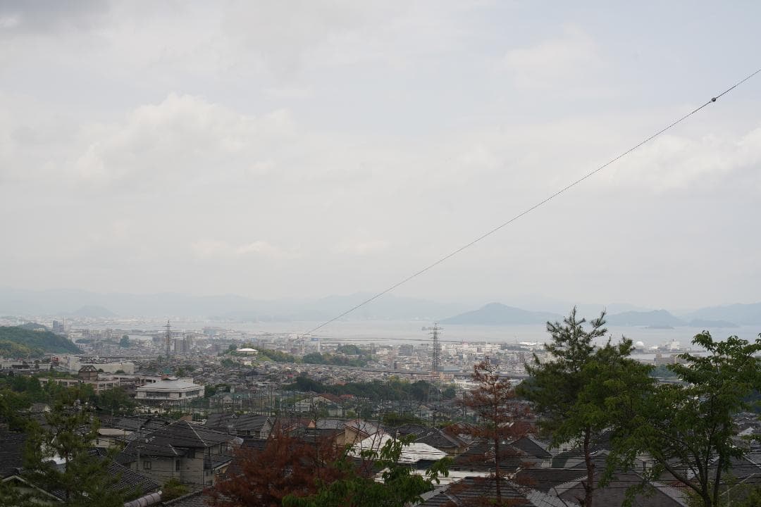 フィルムカメラ Nikon F2S (DP-2) / Nikkor 50mm F1.4