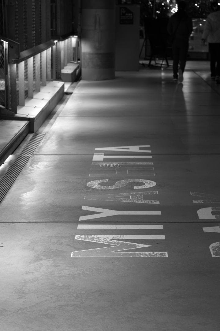 無色透明訳あり！PENTAX Super-Takumar 55mm f1.8