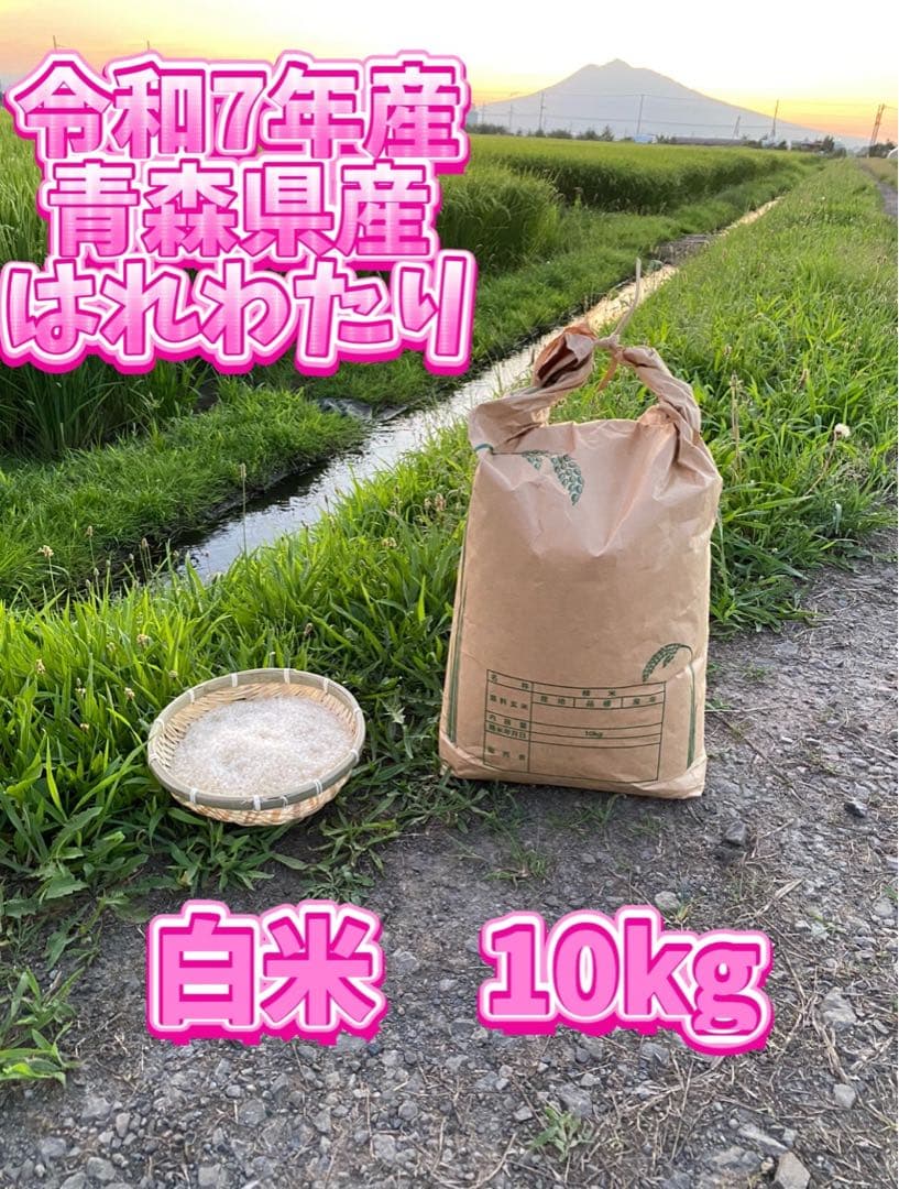 令和7年産　青森県産　特Aブランド米「はれわたり」農家直送　10キロ　白米