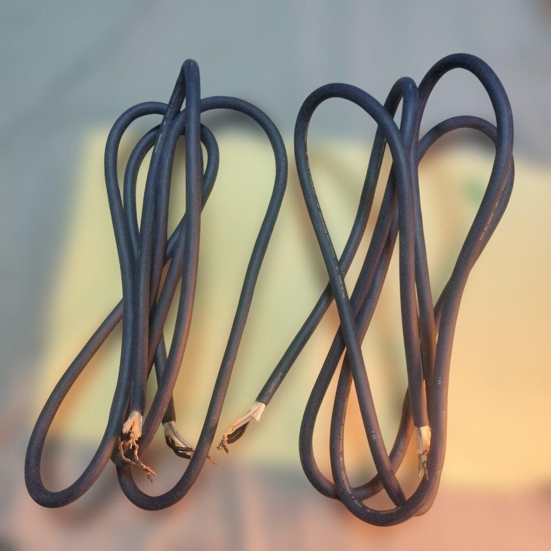 AudioQuest Type4 HYPERLITZ LGC銅線 2.5mペア