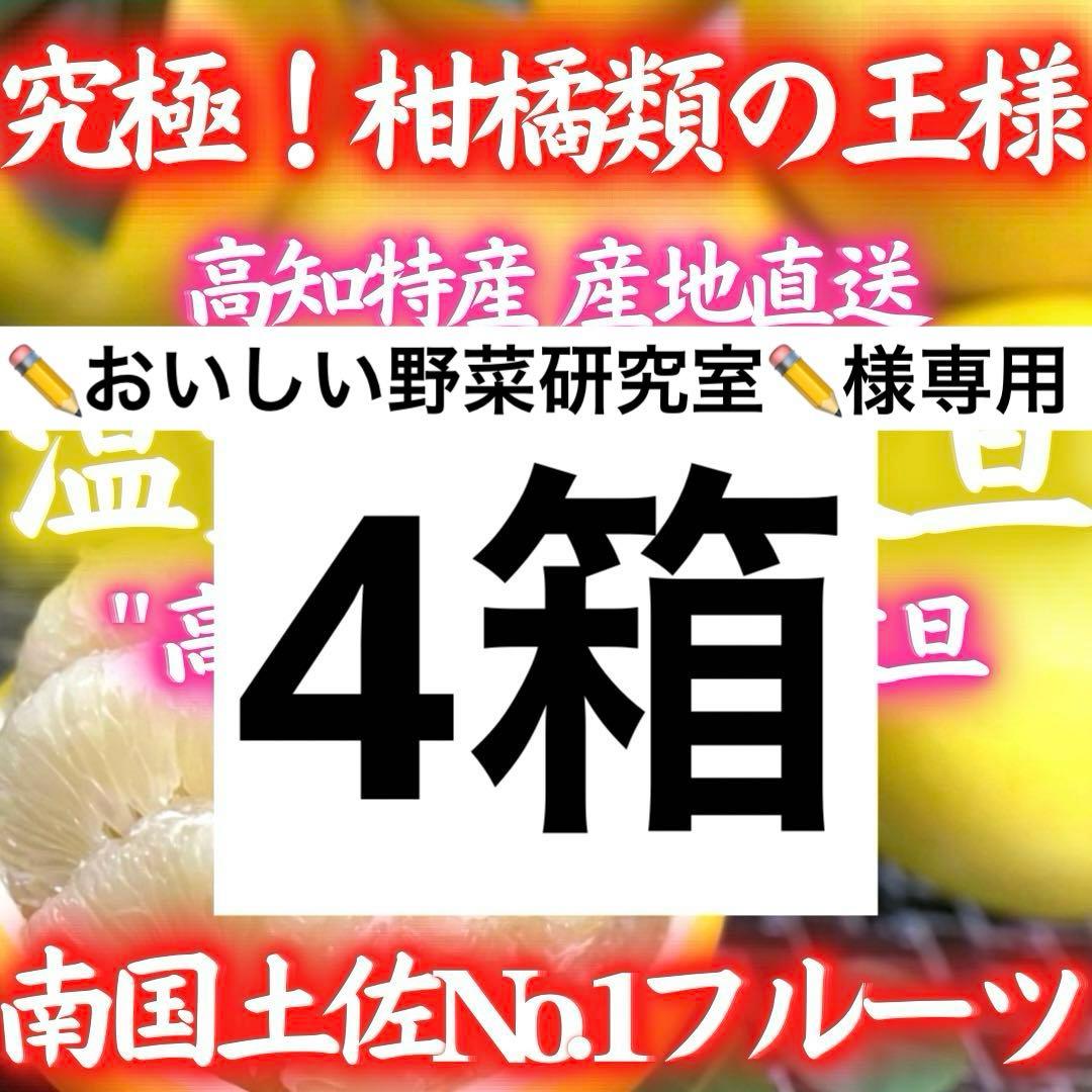高知特産 温室土佐文旦 ハウス 土佐文旦 文旦 3kg×4箱