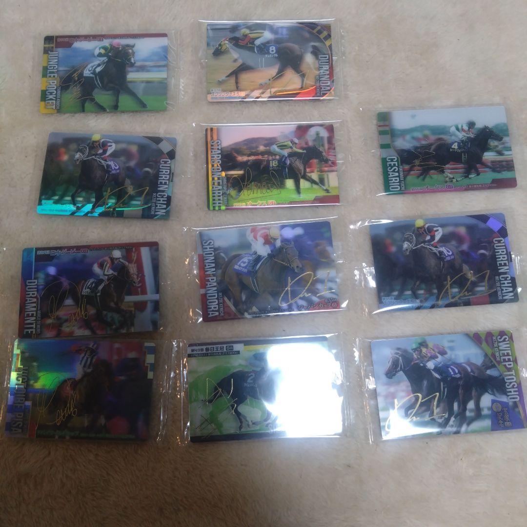 サラブレッドホースコレクション　R1