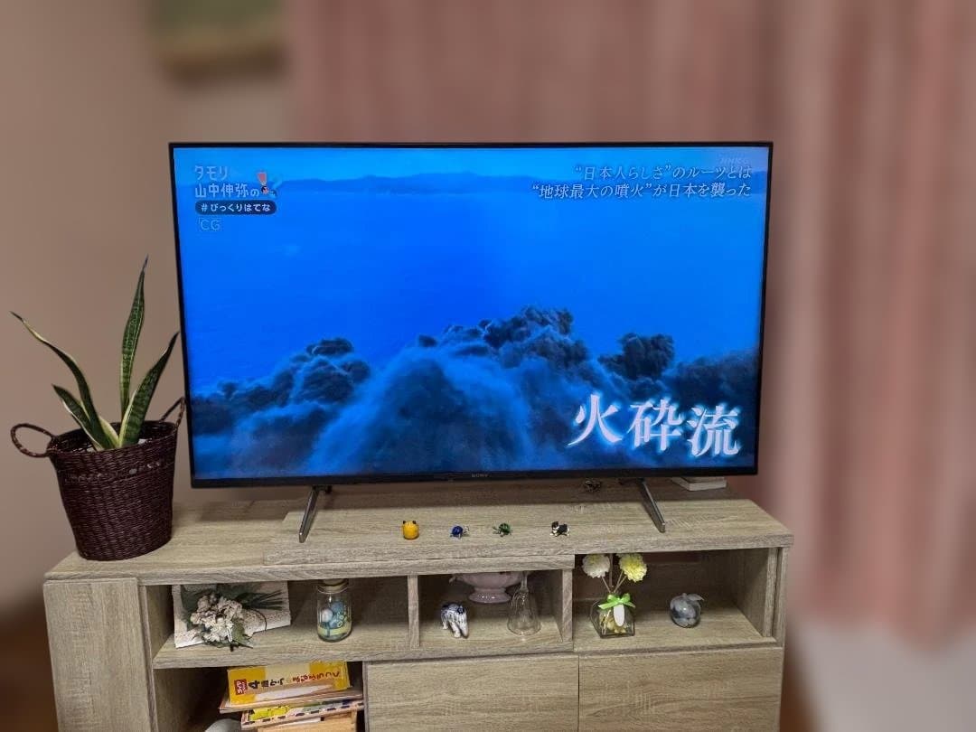 50インチ　SONY BRAVIA 4K液晶テレビKJ-50X80WK　23年
