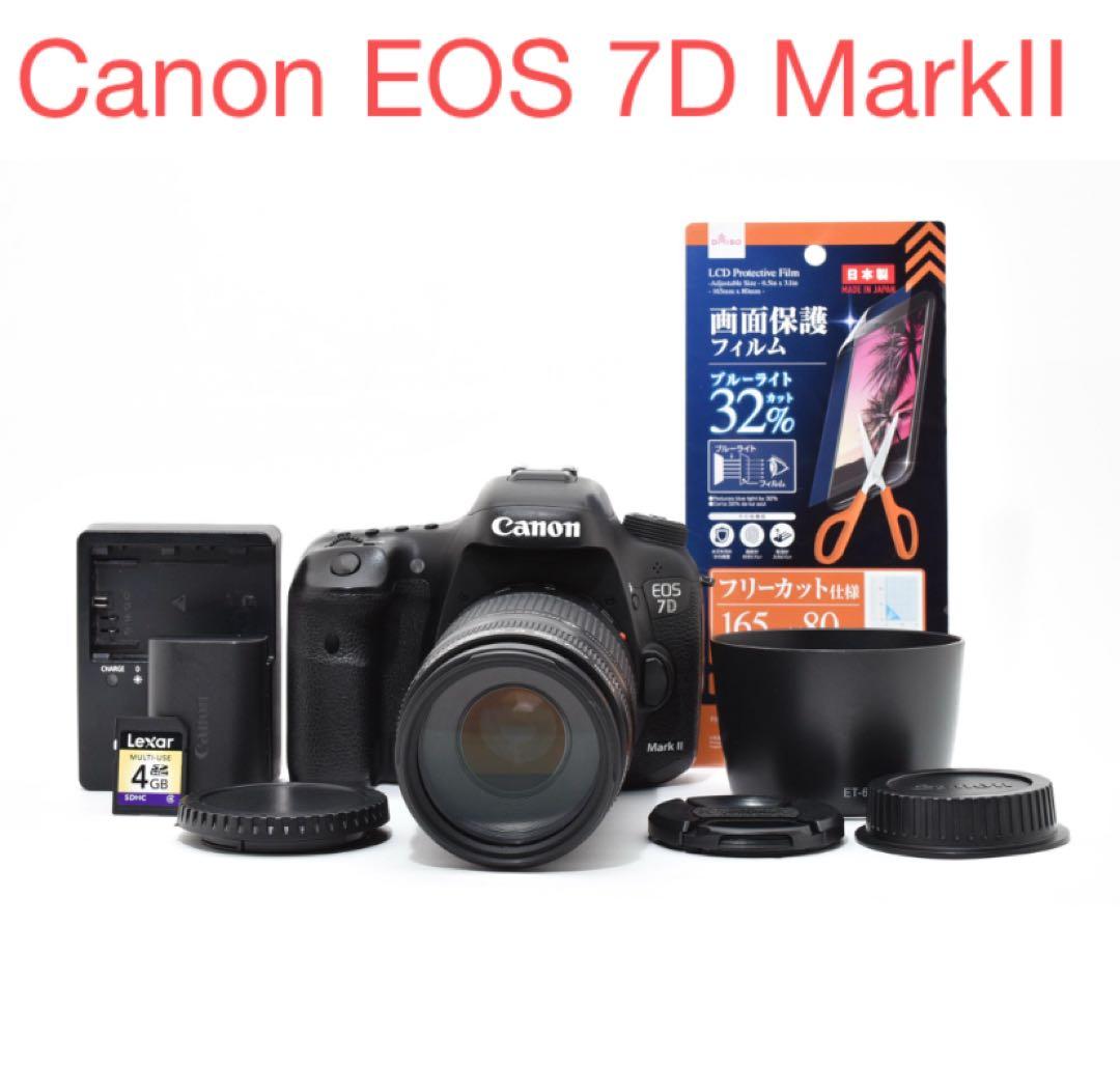 Canon EOS 7D MarkⅡ / Canon EF75-300mm