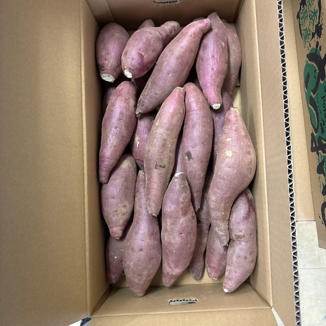 箱込み5キロ　農薬不使用　紅はるか「さつまいも」 Mサイズ