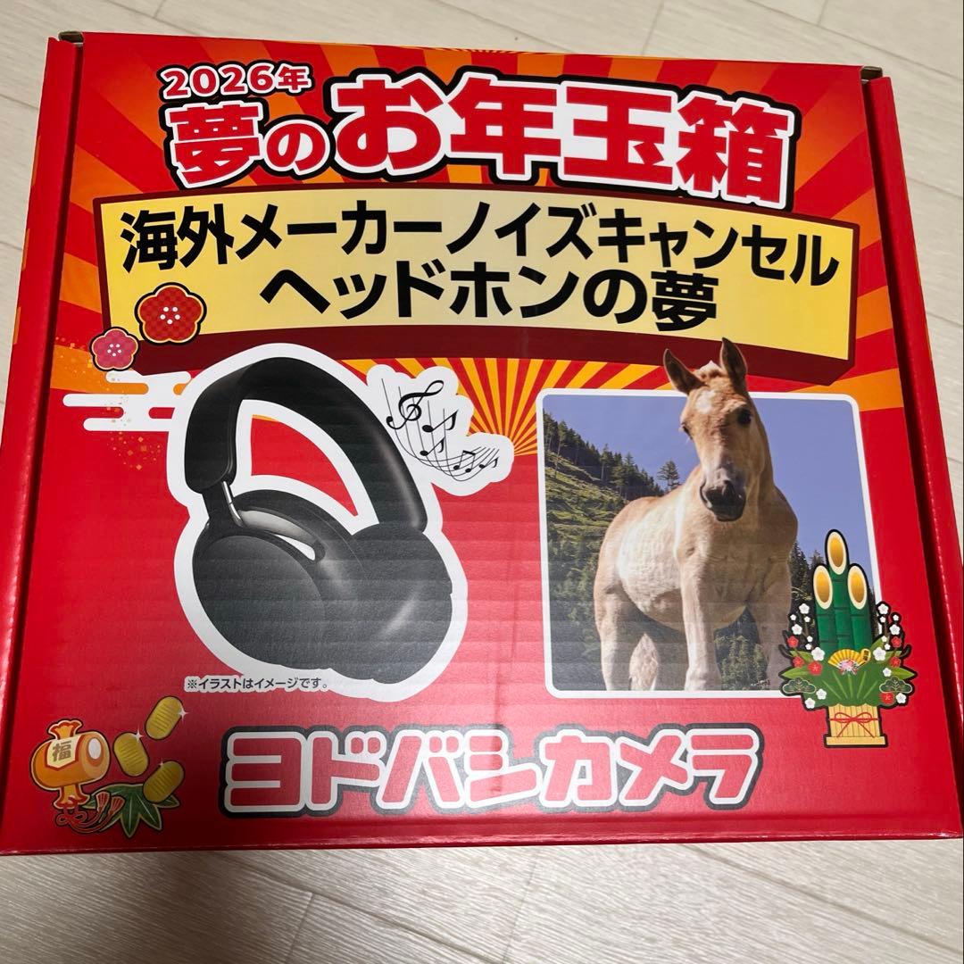 2026年　夢のお年玉箱　海外メーカーノイズキャンセル　ヘッドホンの夢
