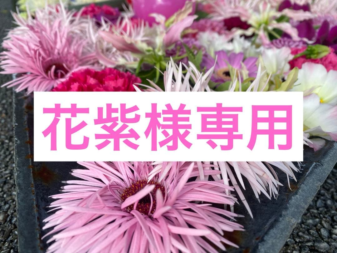 【限定品】クレドポーボーテ ラディアンスギフト